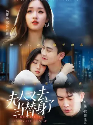 夫人又去当替身了海报