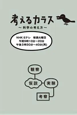 像乌鸦一样思考海报
