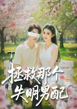 拯救那个失明男配海报