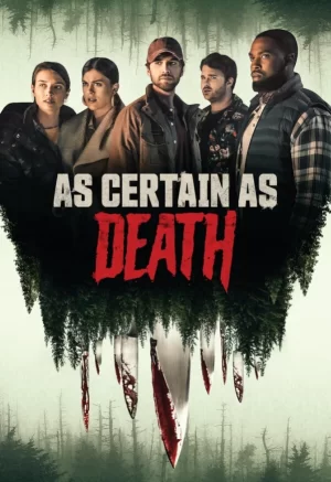 像死亡一样确定海报