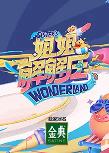 姐姐解解压海报
