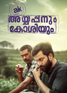 阿亚潘和柯西(英语)海报