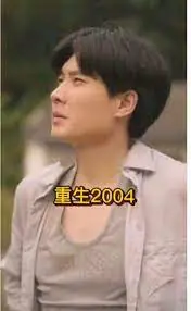 重生2004海报