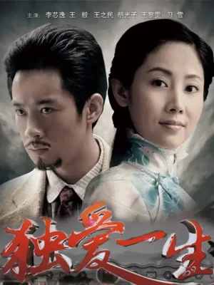 独爱一生海报