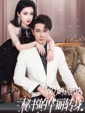 权利的诱惑之秘书的华丽转身海报