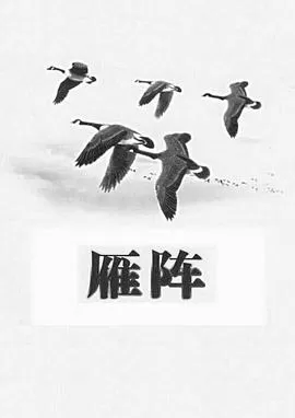 雁阵[电影解说]海报