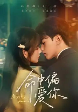 命中偏爱你海报