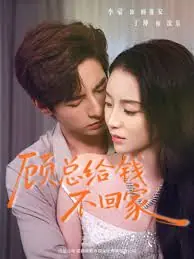 顾总给钱不回家海报