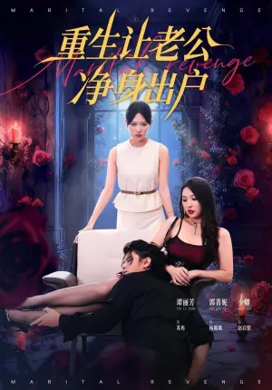 重生让老公净身出户海报