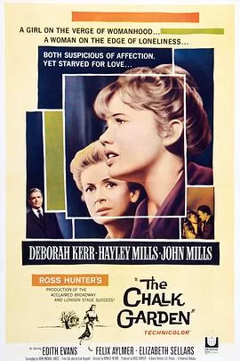 风雨故人情海报