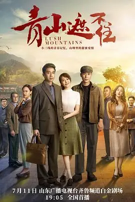 青山遮不住海报