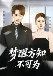 梦醒方知不可为海报