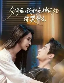 分手后,我和女神闪婚你哭什么海报