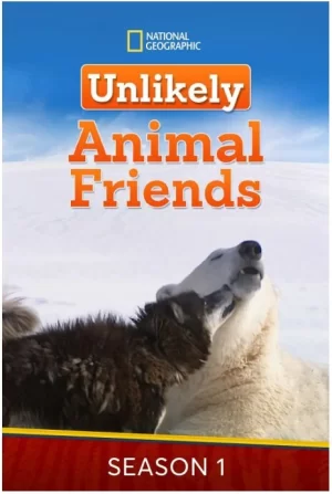 不可思议的好朋友第一季海报