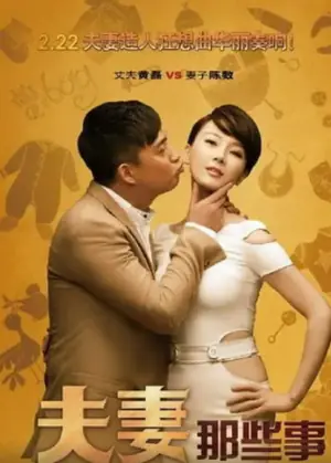 夫妻那些事海报