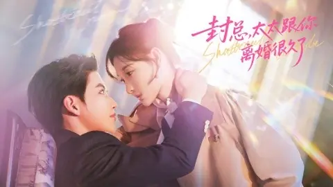 封总,太太跟你离婚很久了海报