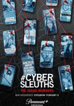 网络侦探:爱达荷州谋杀案海报
