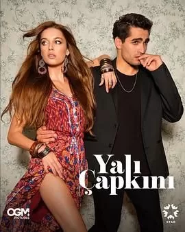 翠鸟第一季海报