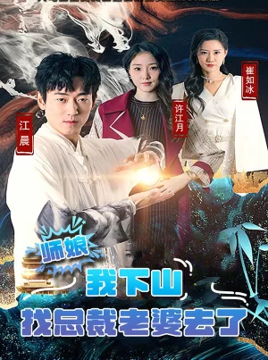 师娘,我下山找总裁老婆去了海报