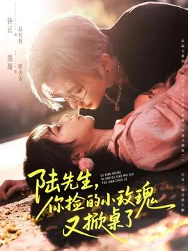 陆先生,你捡的小玫瑰又掀桌了海报