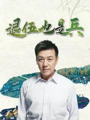 退伍也是兵海报