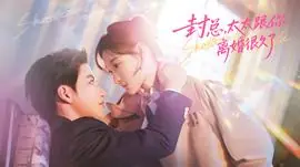 封总,太太跟你离婚很久了海报