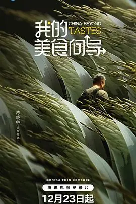 我的美食向导海报