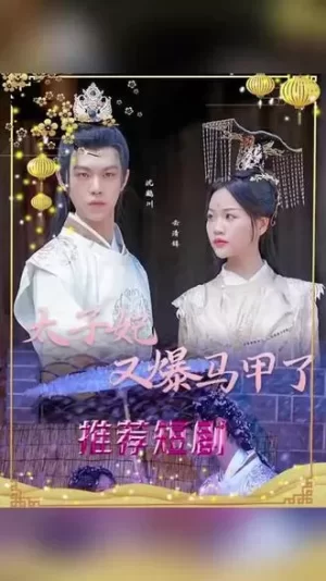 太子妃,你的马甲又掉了海报