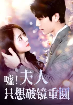 嘘夫人只想破镜重圆海报