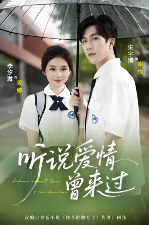 听说爱情曾来过海报