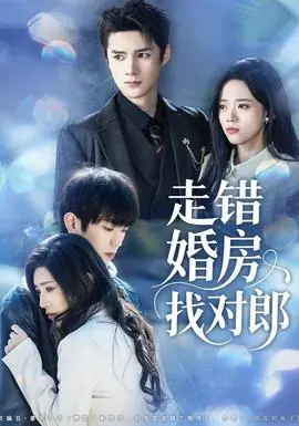 走错婚房找对郎海报