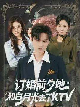 订婚前夕她和白月光去了KTV海报