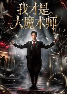 我才是大魔术师海报
