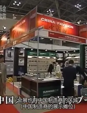 假货大国的实态海报