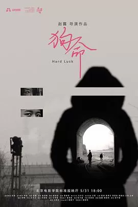 狗命[电影解说]海报