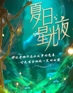 夏日星光夜第一季海报