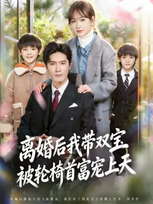 离婚后,我被轮椅首富宠上天海报