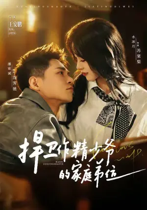捍卫作精少爷的家庭弟位海报