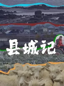 县城记海报
