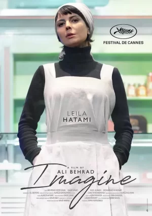 司机的白日梦海报