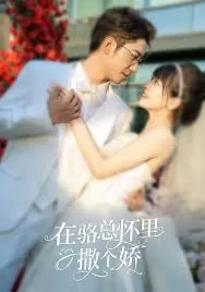 在骆总怀里撒个娇海报