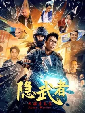 隐武者:大破青龙会海报