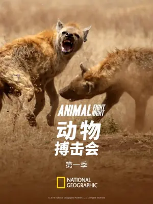 动物搏击会第一季海报