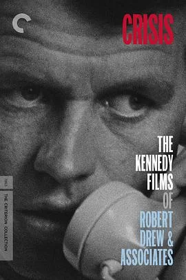 危机:总统之诺海报