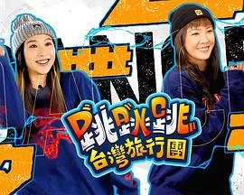 跳跳跳台湾旅行团(粤语)海报