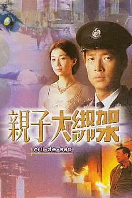 亲子大绑架(粤语)海报