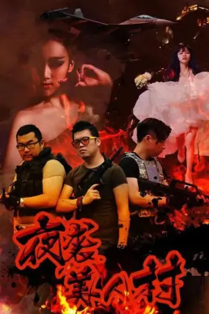夜袭寡妇村海报