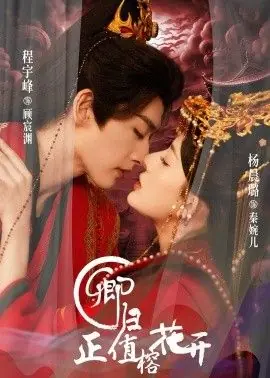 卿归正值榕花开海报