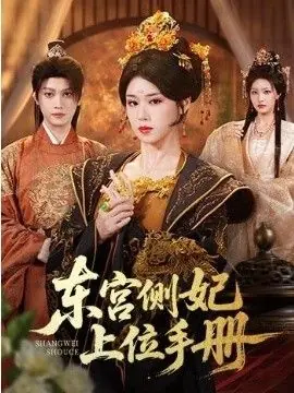东宫侧妃上位手册海报