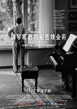 钢琴家们的秘密炼金术海报